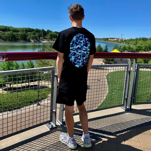 Meet your Posher, Ethan - Picture 4 of 4